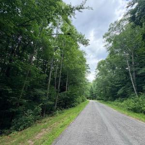 Photo #6 of 8704 MILLWOOD DR, SPOTSYLVANIA, VA 4.9 acres