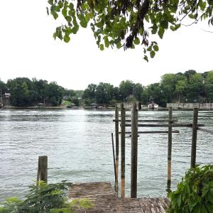 Dock poles
