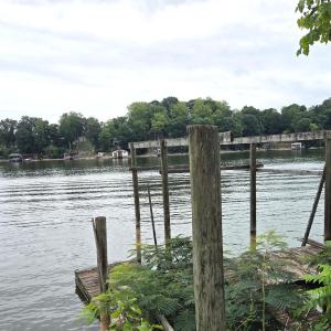 starter dock 1