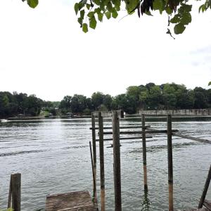 Starter Dock