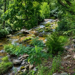 creek