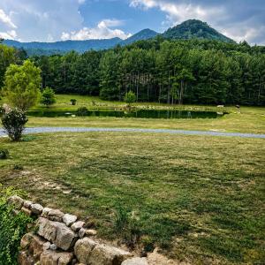 pond view