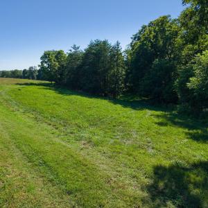 Open field meets natural tree line
