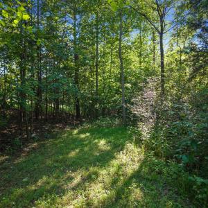 Wooded trail winds through the land