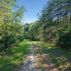 Gravel drive leading down to river
