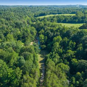 Aerial view of wooded acreage