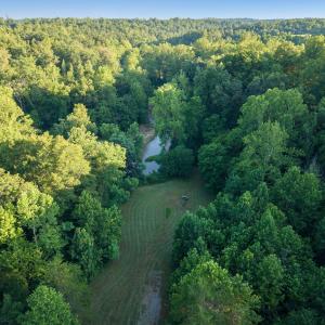 Aerial view of river with picnic area