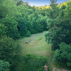 Aerial view of clearing at river