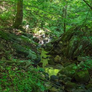 Stream cascades through rocky terrain