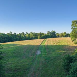 Wide open field