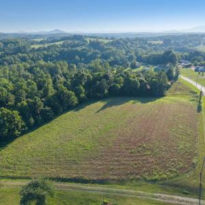 Aerial view of open pasture & tree line