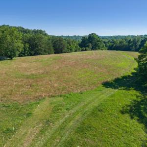 Aerial view of open field