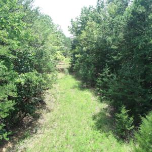 Road Through Property