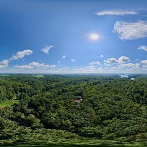 Moneta Pano