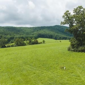 DJI_20260804121545_0286_D-2