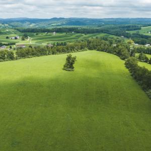 DJI_20260804121745_0294_D