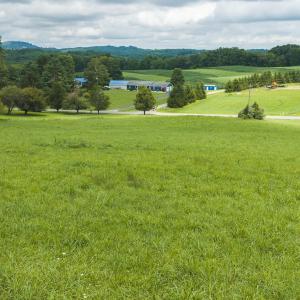 DJI_20260804121911_0298_D