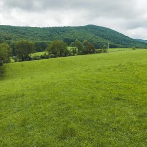 DJI_20260804125325_0307_D