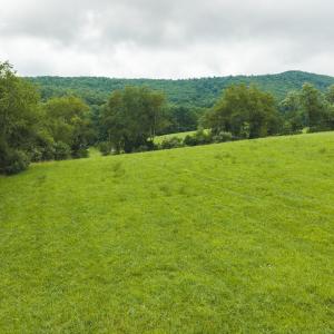 DJI_20260804125334_0308_D