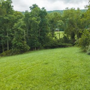 DJI_20260804125411_0310_D