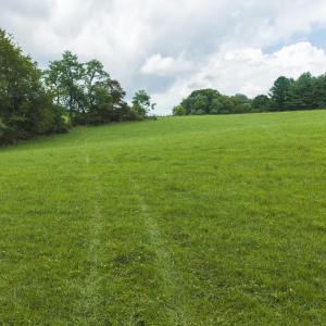 DJI_20260804125426_0311_D