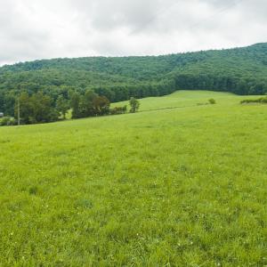 DJI_20260804125500_0315_D