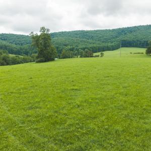 DJI_20260804125528_0316_D