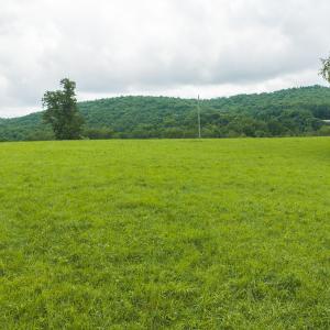 DJI_20260804125550_0318_D