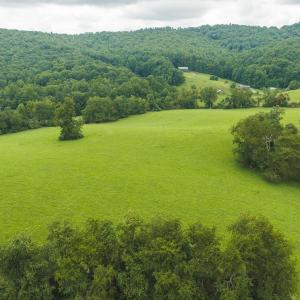 DJI_20260804125610_0320_D