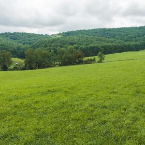 DJI_20260804125712_0325_D