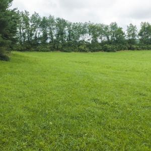 DJI_20260804120857_0263_D