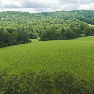 DJI_20260804121121_0270_D
