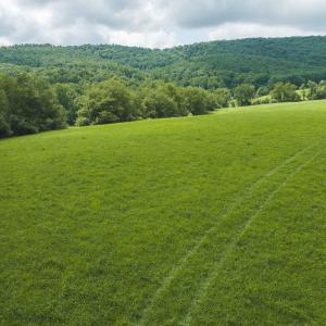 DJI_20260804121234_0273_D