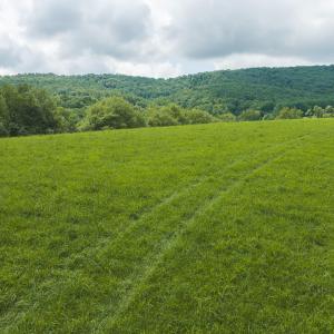 DJI_20260804121239_0274_D