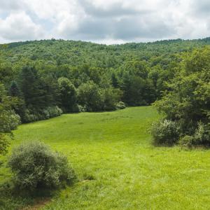 DJI_20260804121327_0277_D