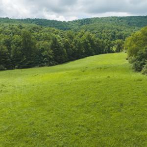 DJI_20260804121351_0279_D