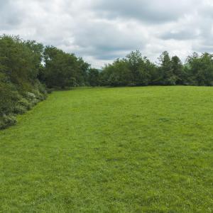 DJI_20260804121452_0283_D