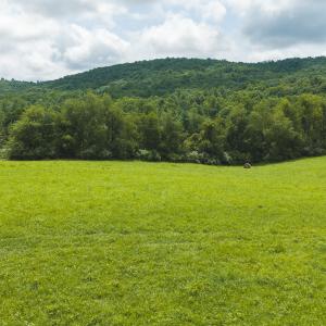 DJI_20260804121505_0284_D