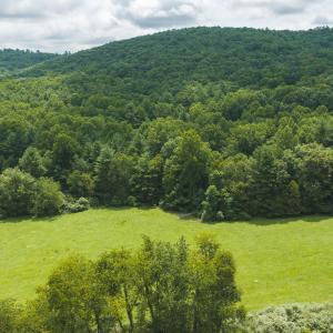 DJI_20260804121602_0287_D