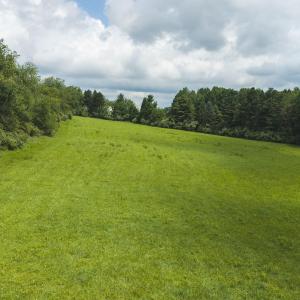 DJI_20260804121635_0289_D
