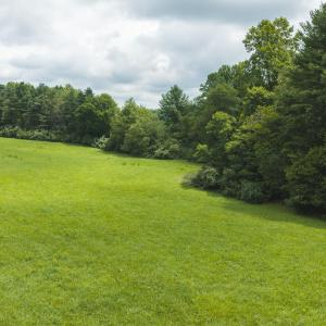 DJI_20260804121639_0290_D