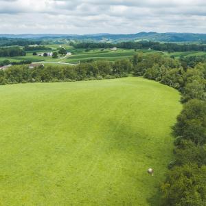 DJI_20260804121711_0292_D