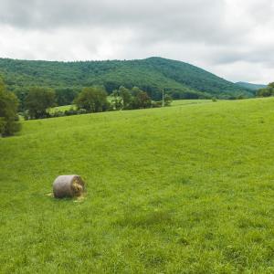 DJI_20260804125257_0305_D