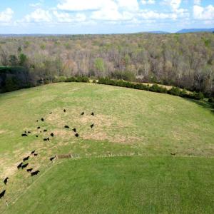DJI_0003
