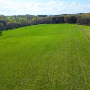 DJI_0974