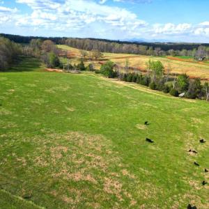 DJI_0975