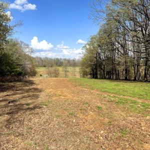 Tract-01-IMG_1343