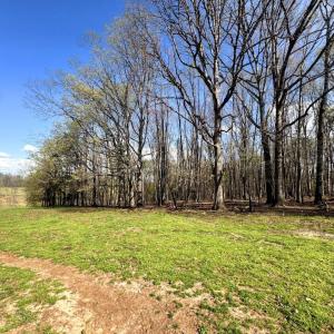Tract-01-IMG_1350