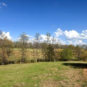 Tract-01-IMG_1354