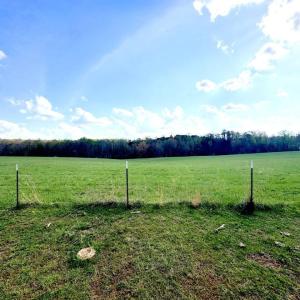 Tract-01-IMG_1357